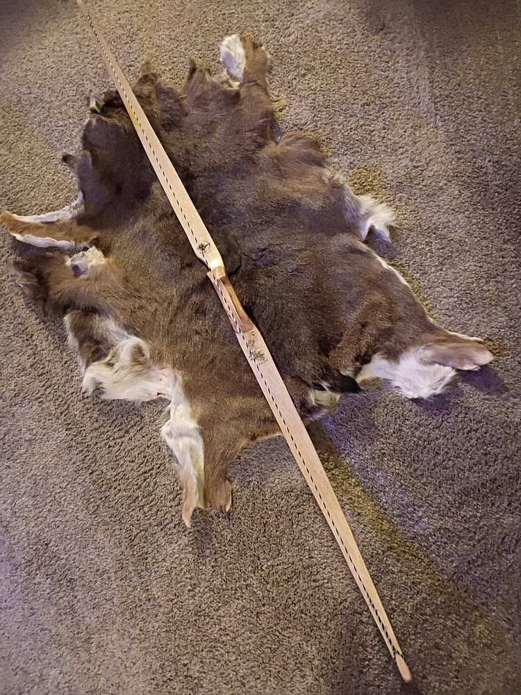 American Flatbow "Barn Owl"🦉