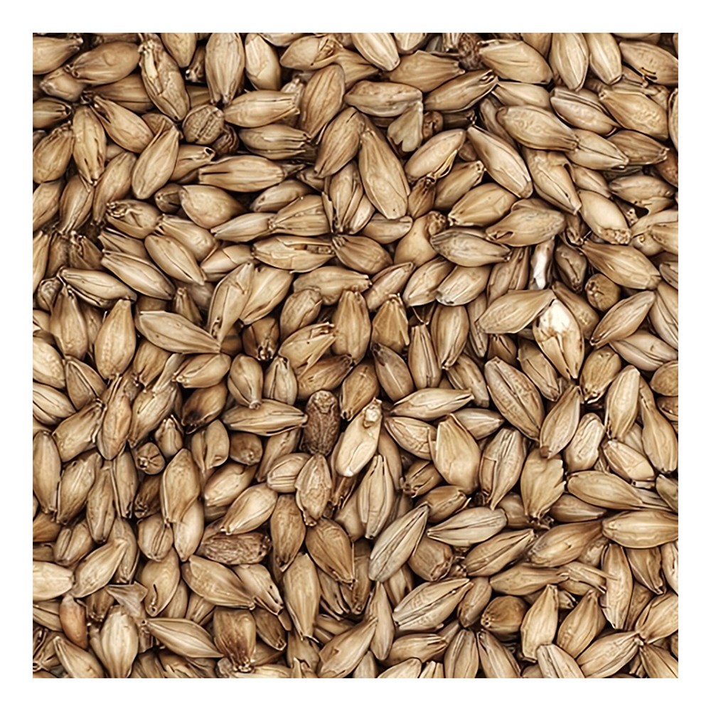 Home Brew Ohio 6-Row Grain 55lb