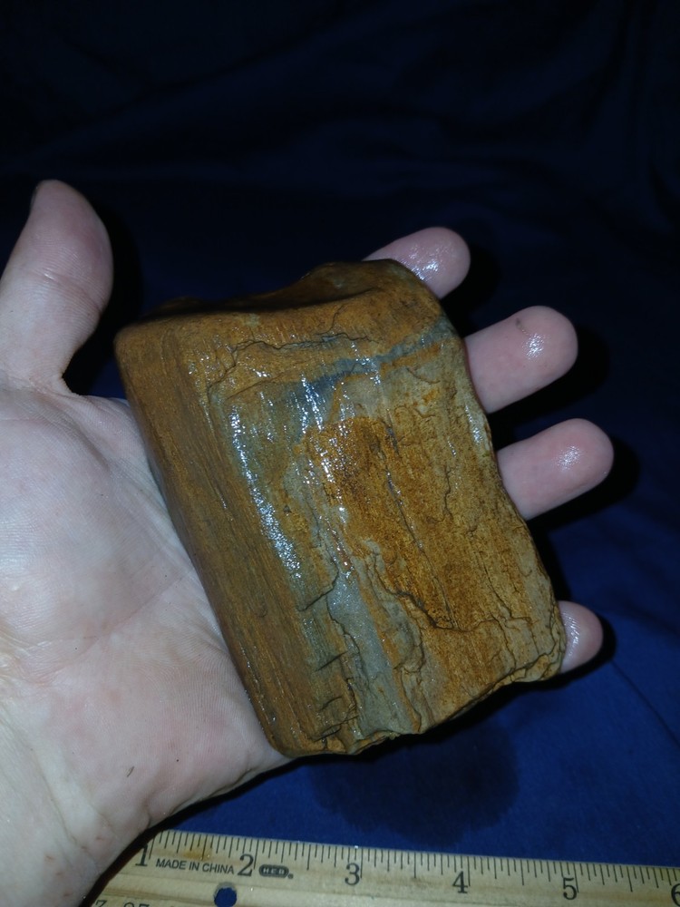 12 oz Petrified Wood