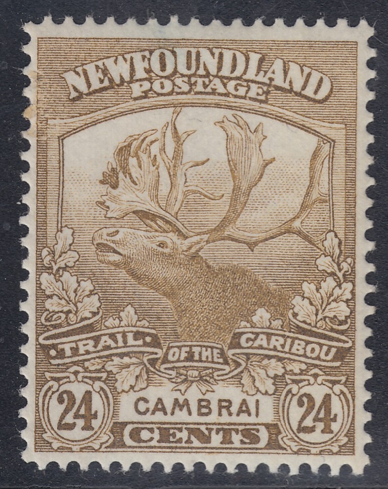 Newfoundland # 125 Mint Never Hinged Very Fine Single