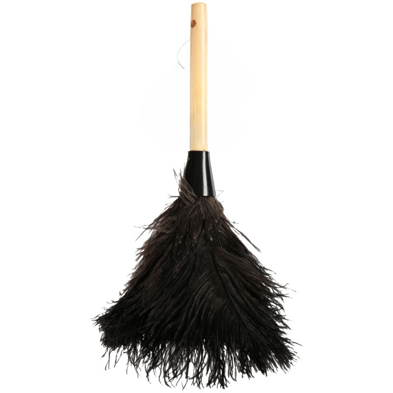 EverClean Ostrich Feather Duster