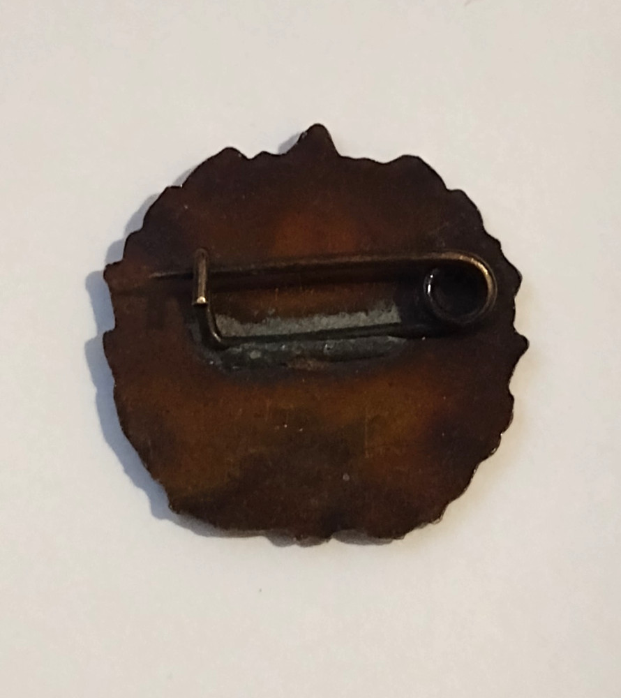 Methodist Religious Vintage Lapel Pin