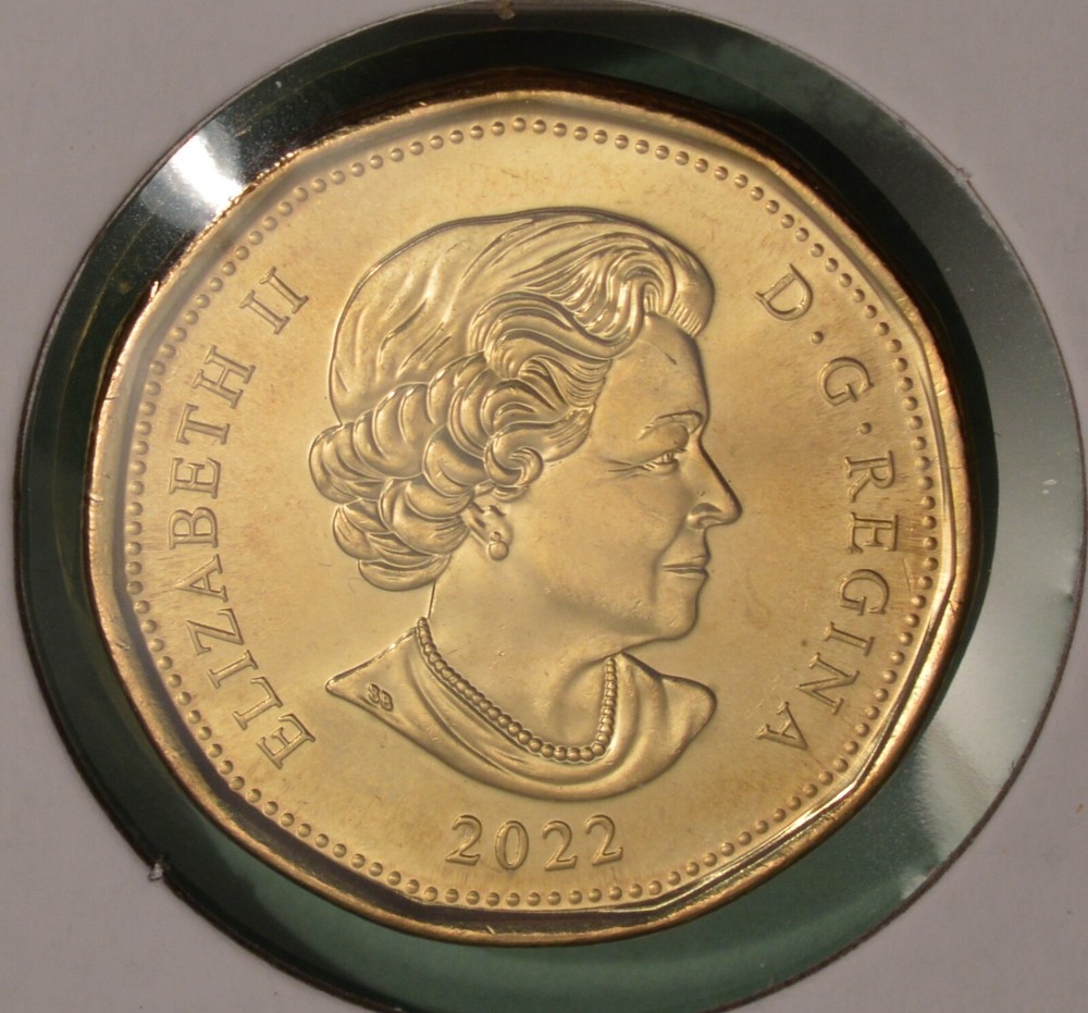 2022 Canada 1$ Dollar - Loonie - Regular Loon - BU UNC - from mint roll 🇨🇦