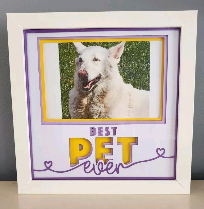 Best Pet Shadowbox
