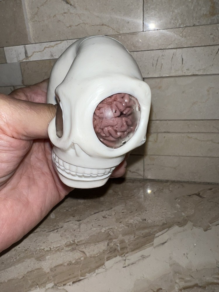 SQUISHY HALLOWEEN SKULL WITH VISIBLE BRAIN MATTER SICK!