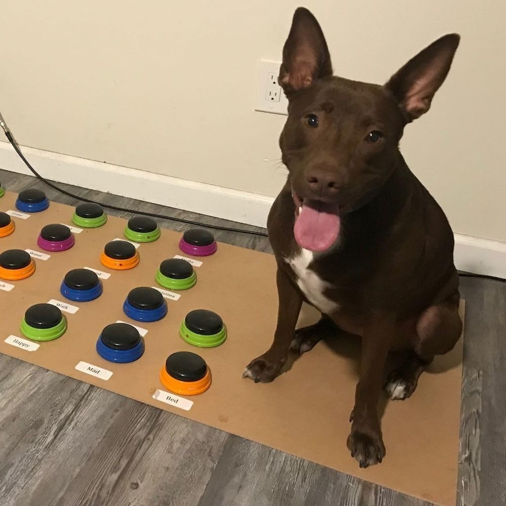 Dog Training Buttons - Christina's Guide