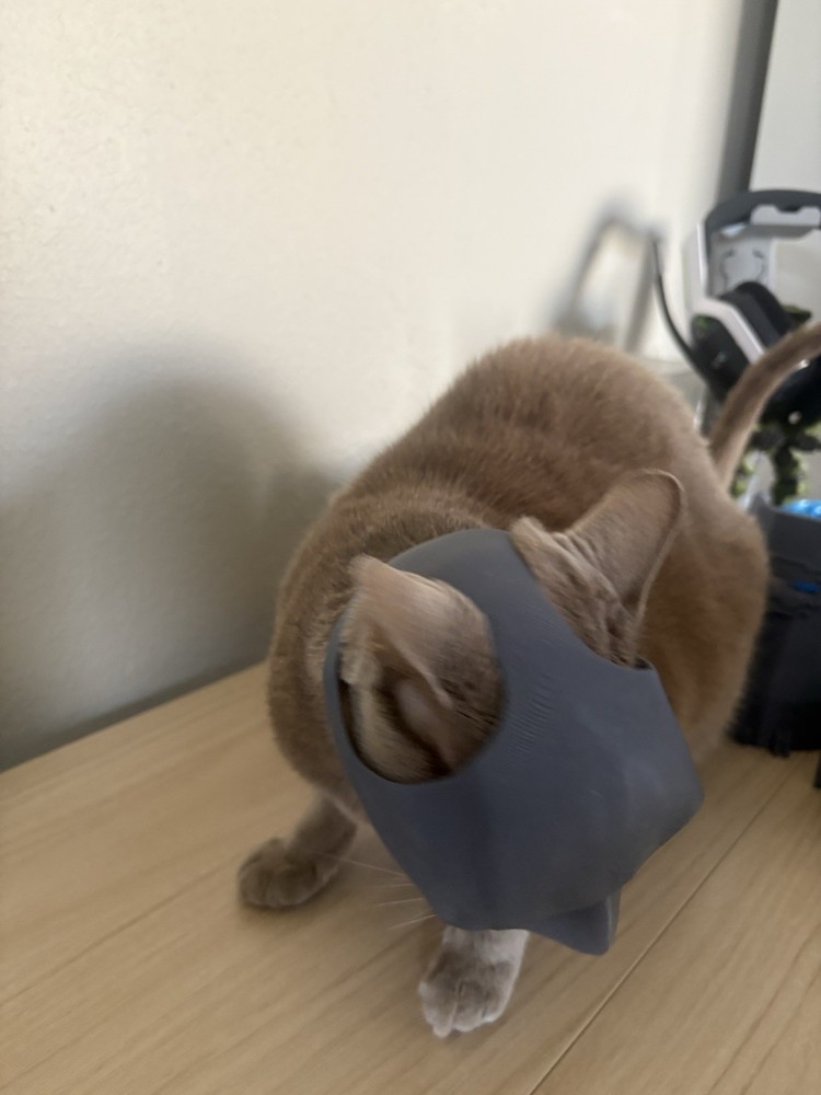 Batman Mask for Cats- Black