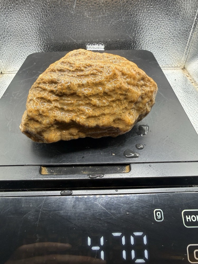 Ancient Fossilized Indiana Geode Ammonite Agate 2,350 Carats