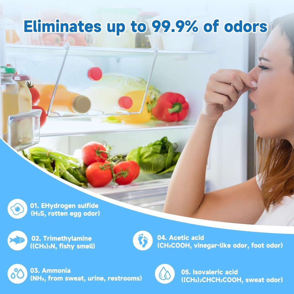 Refrigerator Deodorizer 3 Pack, Natural Plant Fridge Deodorizer Long-Lasting ...