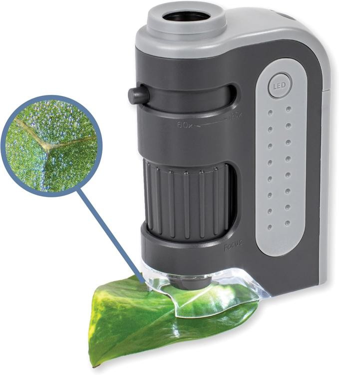 Carson MicroBrite Plus 60x-120x LED Lighted Pocket Microscope, Portable Handheld