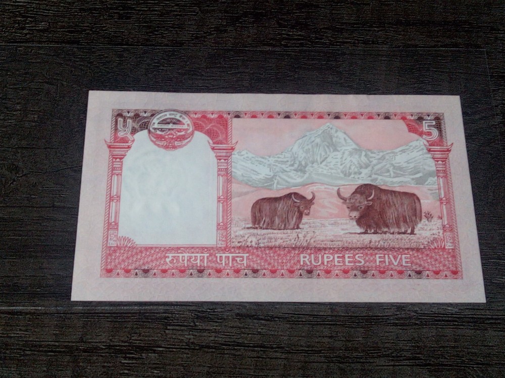 Nepal 5 Rupees (2008) - Yaks/Mt. Everest/p60 UNC