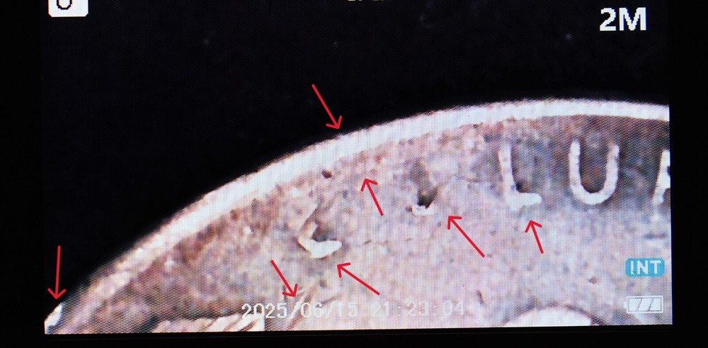 1949 S Lincoln Wheat Penny Error