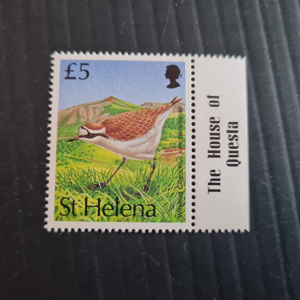 ST HELENA 1993 SG 647 BIRD HIGH VALUE  MNH