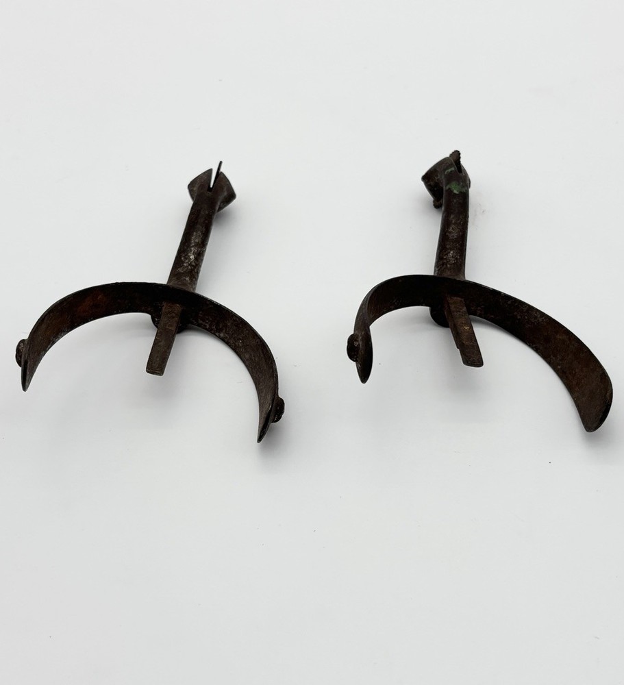 Swan Neck Spurs