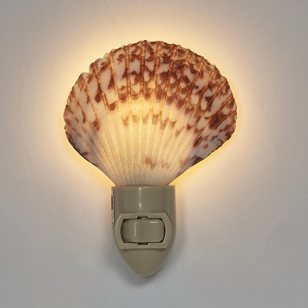 Assorted Pecten Nobilis Boxed LED Night Light