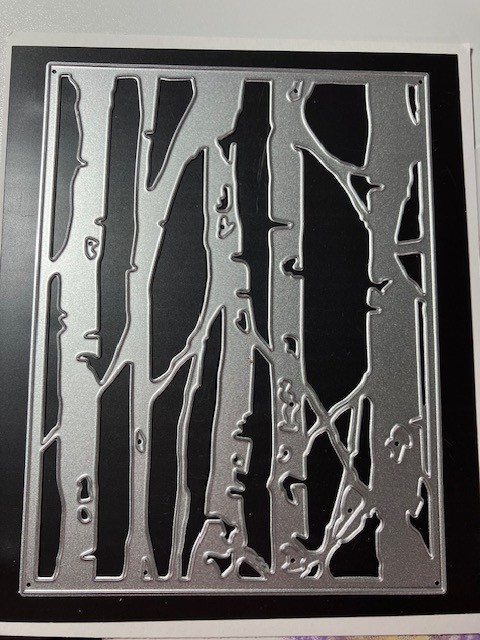 HARD TO FIND- BARE BRANCHED BIRCH TREES METAL DIE CUTS-NEW-THINLITS 660994?