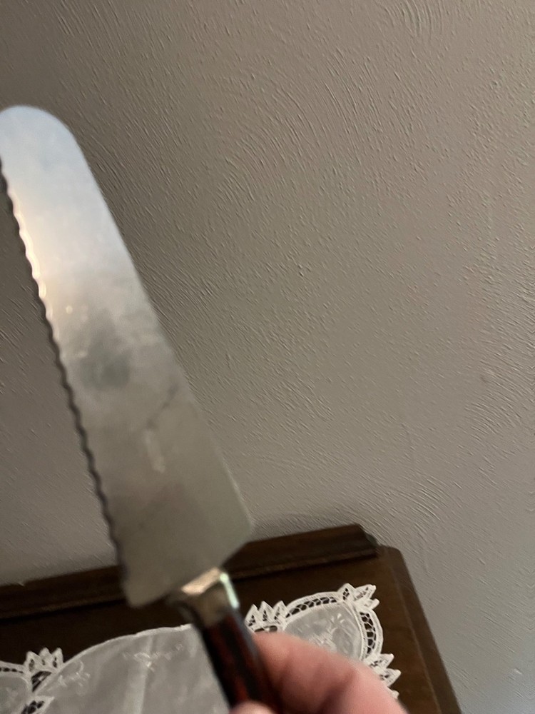 Vintage Amway Stainless Cake or Pie Server