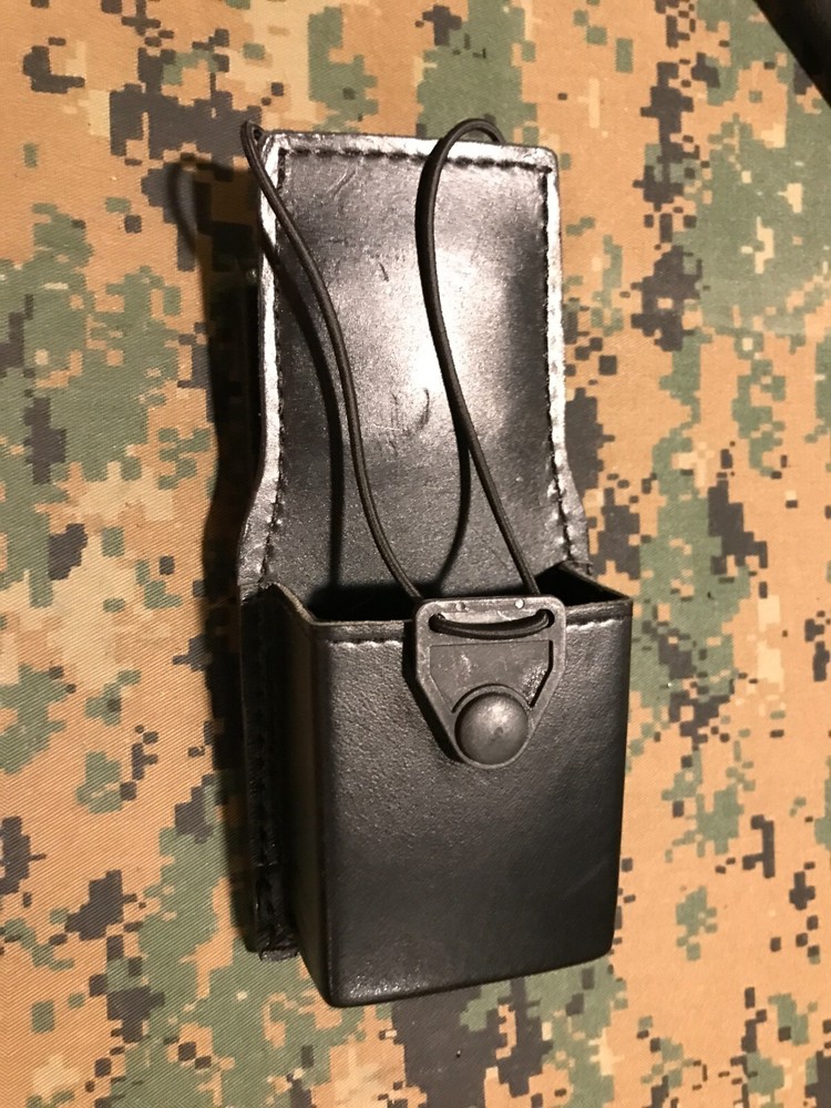 Gould & Goodrich Radio Case