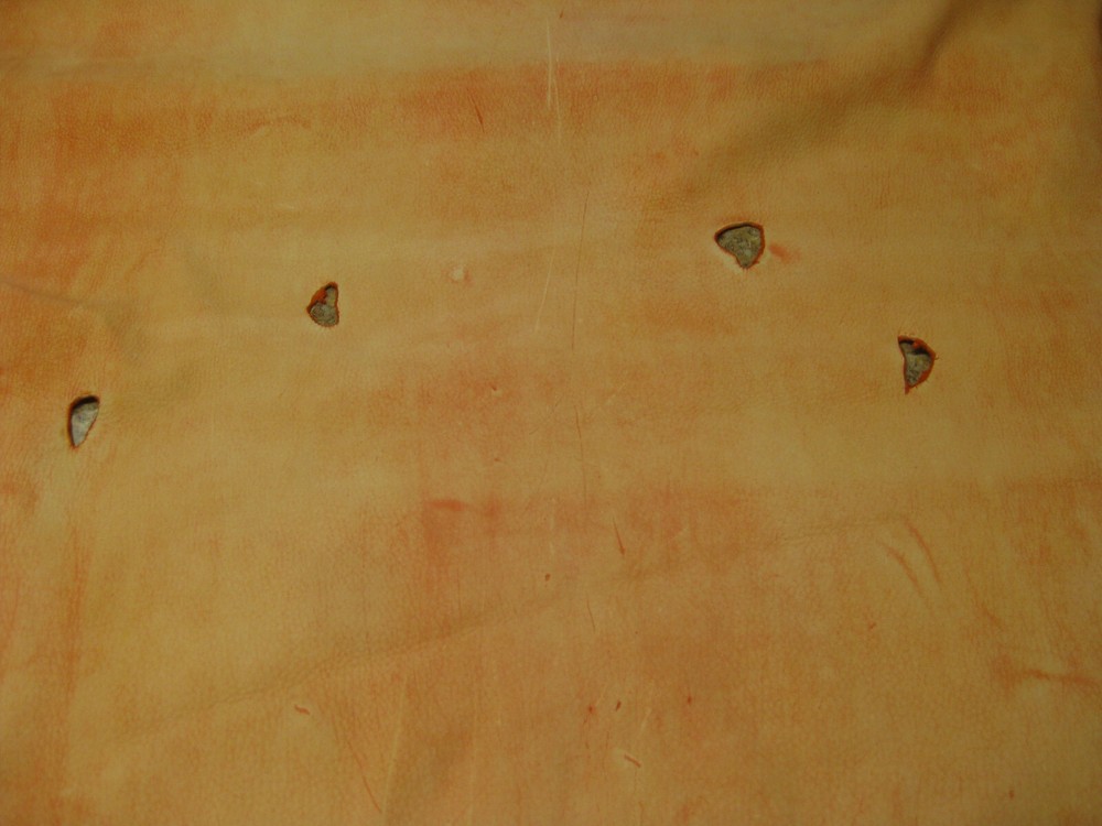 Buffed Deer Leather # 0008663 ROW 4