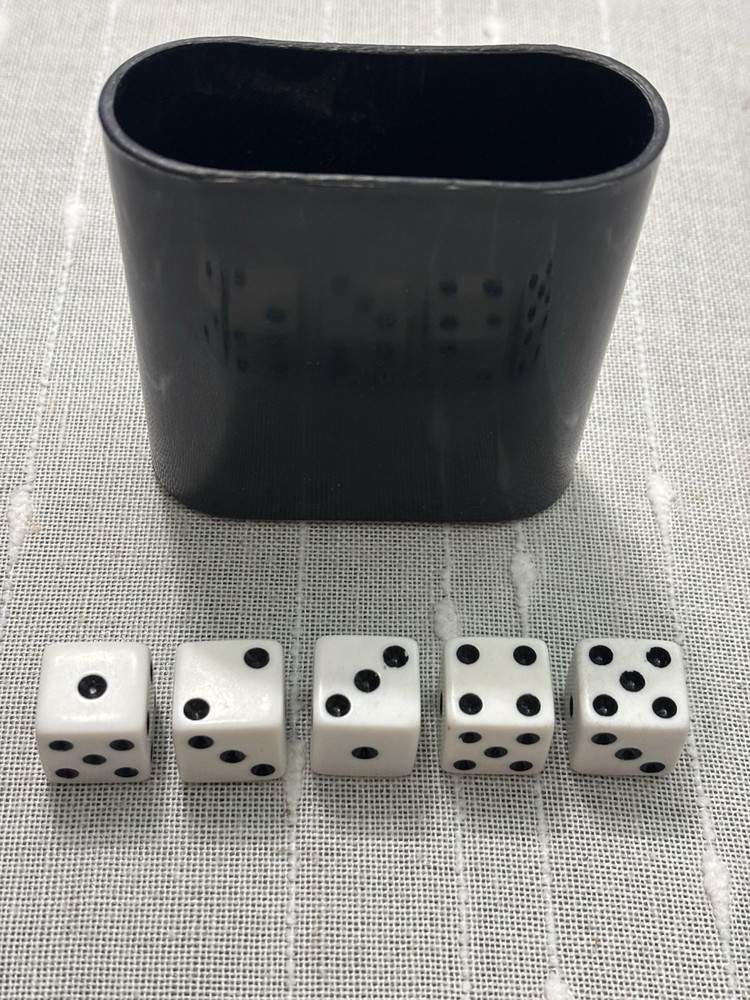 Black Dice Shaker Cup And 5 Dice Set
