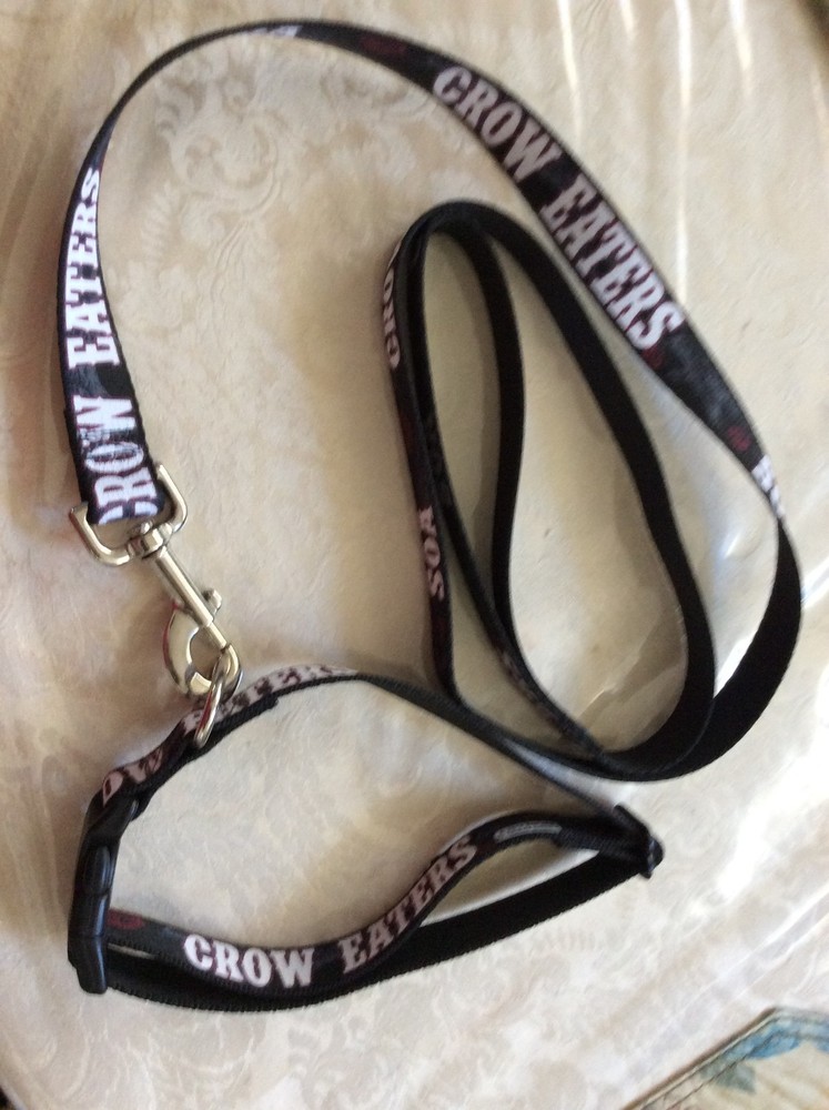 Dog Leash & Collar set ((SOA Crow))