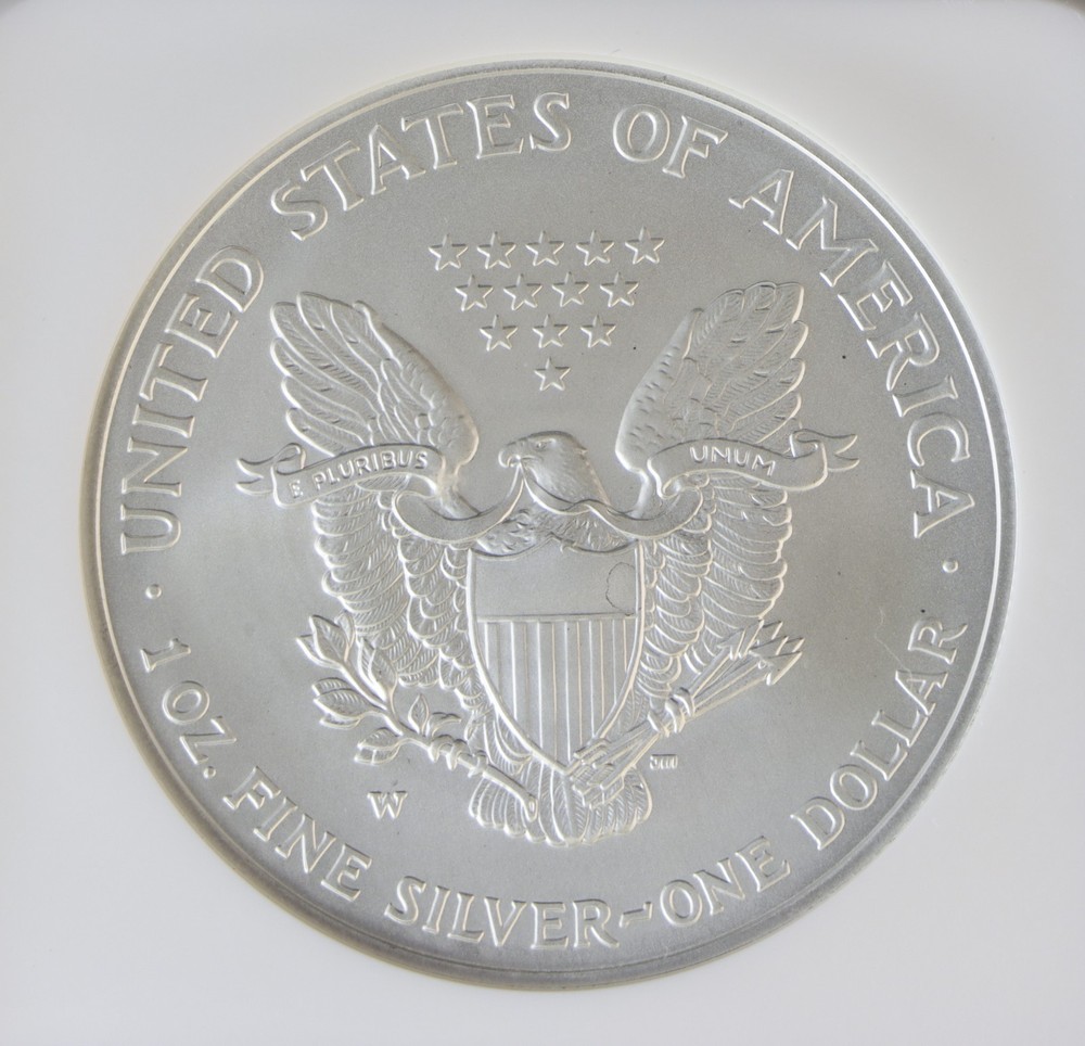 2007-W American Eagle NGC MS69