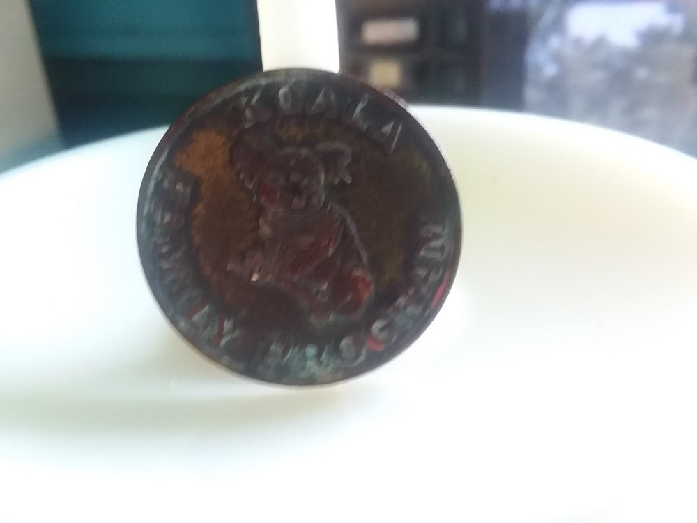 Koala Family Program Pocket Piece Token