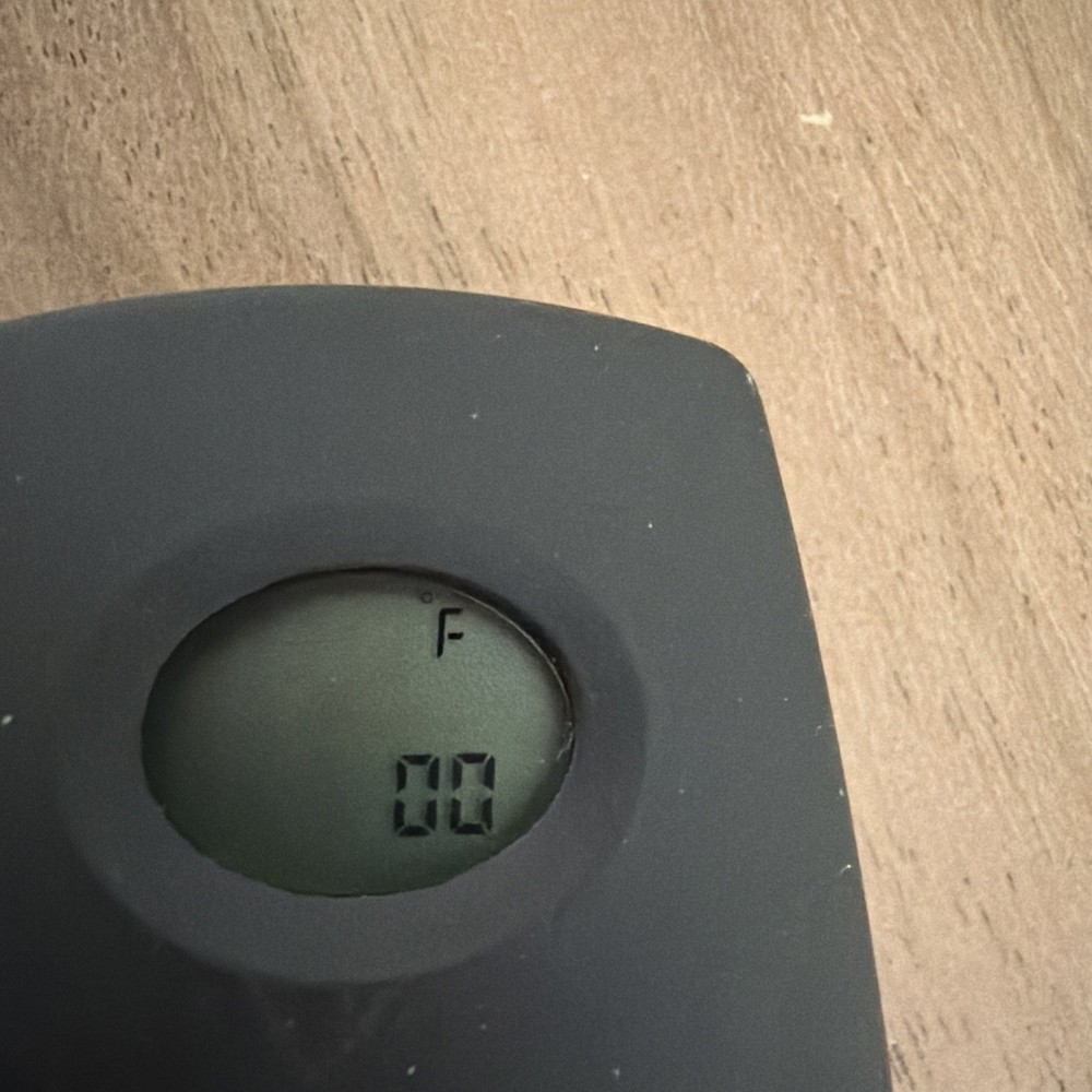 Ambient Technologies Gas Log Fireplace Remote Model RCM