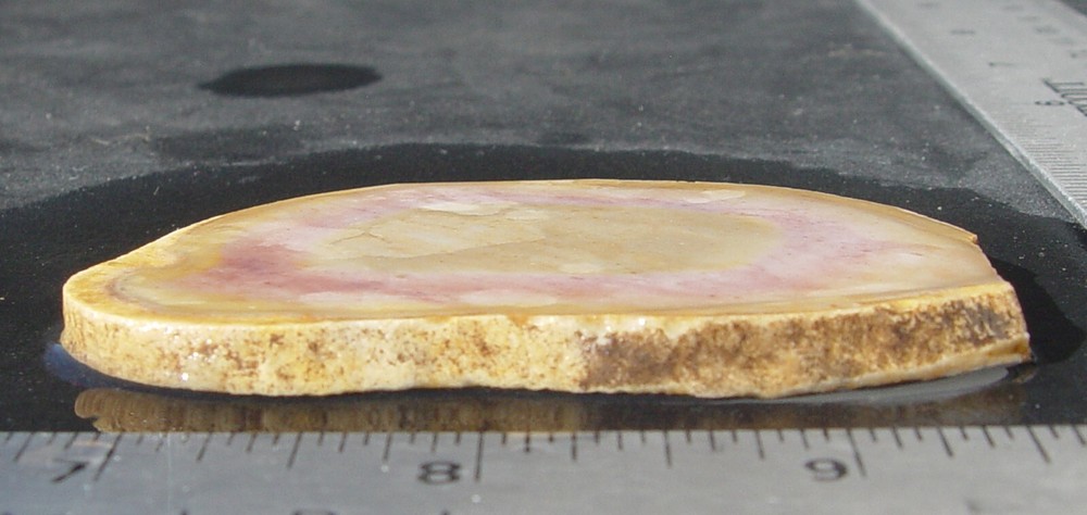 Texas Flint Lapidary Slab T1257