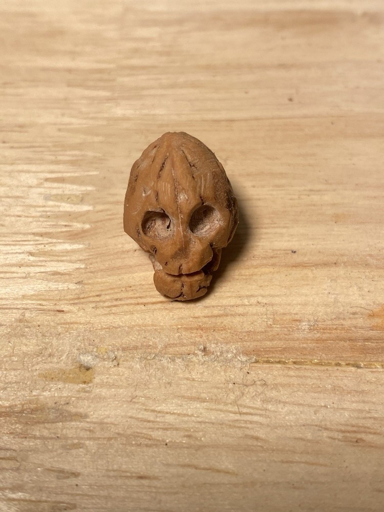 Miniature Skull 7 Carved From Peach Stone Pit