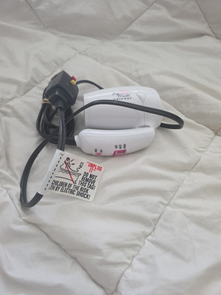 Tiny Hair DRYER BIG DRY