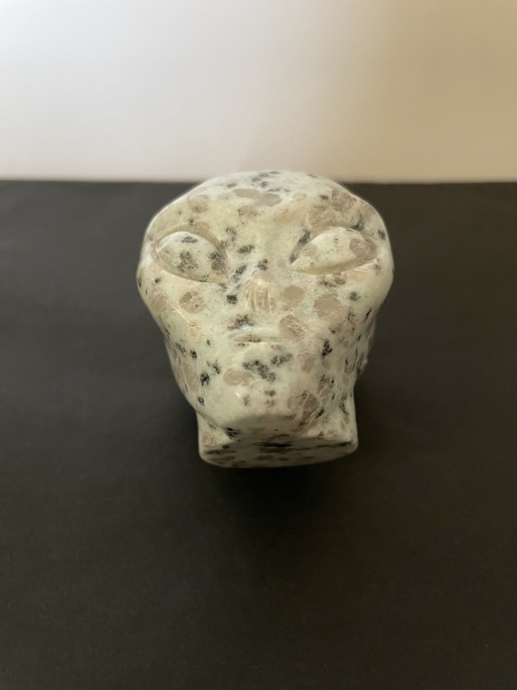 Kiwi Stone Alien Skull 2 Inch