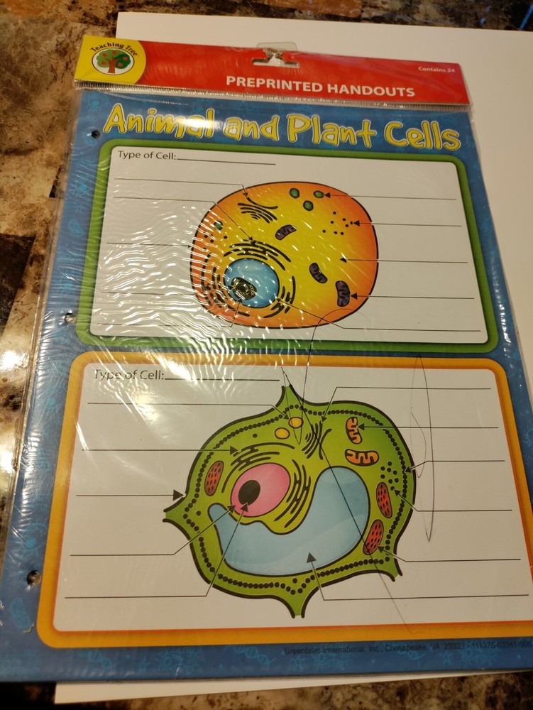 Teacher Educational Material, Lower Elementary