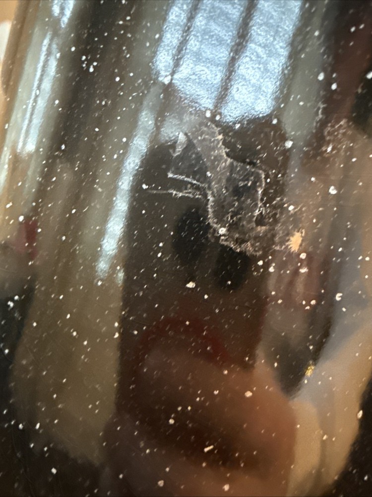 Granite Ware Coffee Boiler, 12 Cup - Speckled Black