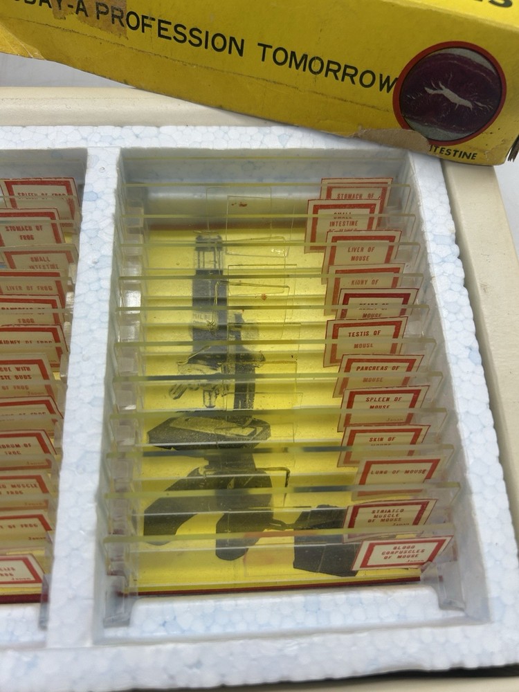 Milben 12 Microscope Slides Set No 810