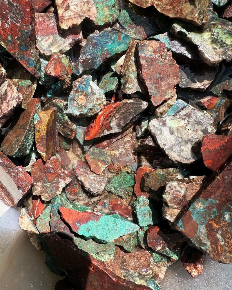 Apache gem Chrysocolla large parcel of slabs and cutter stones.