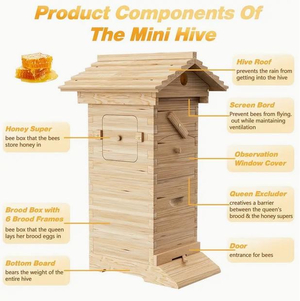 MINi Auto Bee Hives Honey House Bee Hive Boxes +10x Bee Beekeeping Frames US