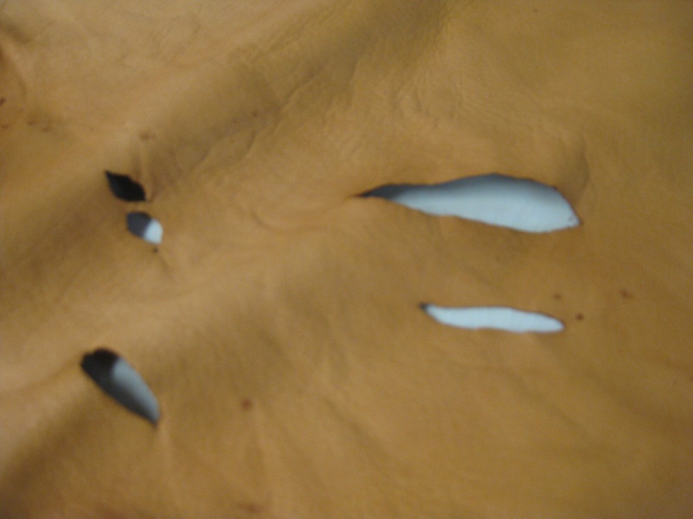 Cow Leather # 0016425 Row 44