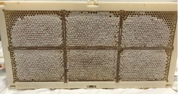 Honeycomb Plastic Frames with 6 Honeycomb boxes