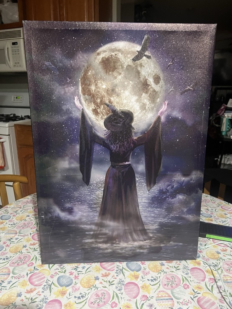 Gothic Witch Portrait In The Moon Light