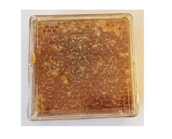 Honeycomb Plastic Frames with 6 Honeycomb boxes