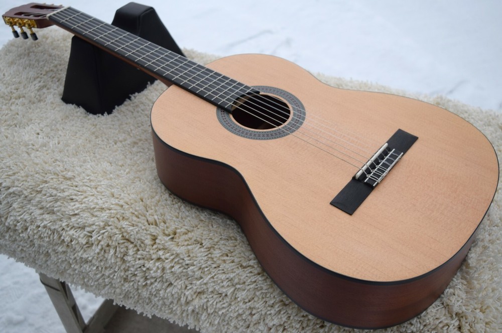 Guitar Nylon Soft Strings/ Spruce Case, Free Ship USA