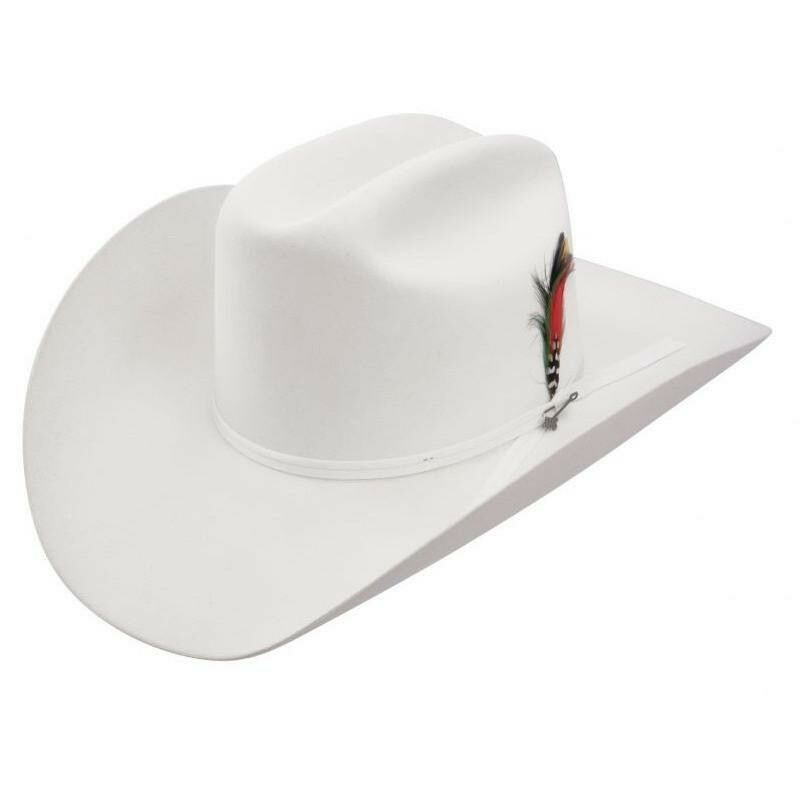 Stetson® Classic Cowboy Hat Feather ( 2 Feathers ) MULTICOLOR
