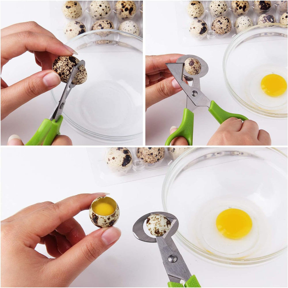 3Pcs Quail Egg Cutter Scissors Kitchen Egg Shears Tool (Green)