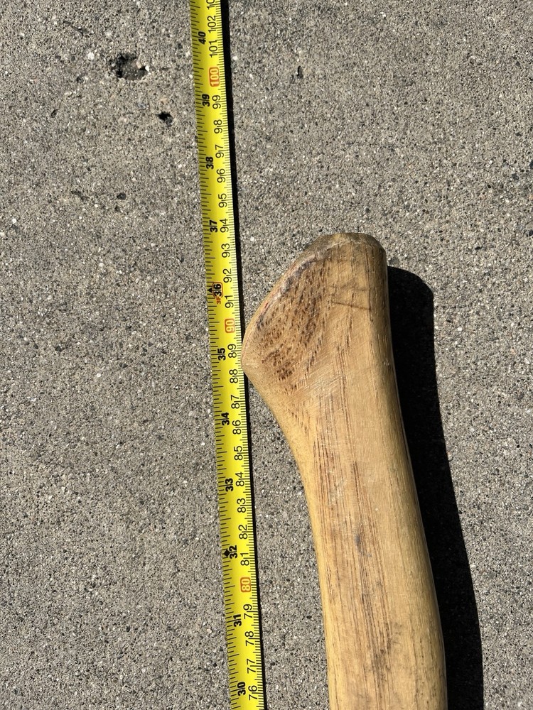 Vintage FOREST SERVICE Fire Axe