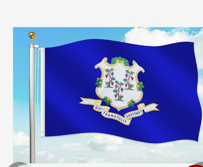 Connecticut State Flag 3x5' New