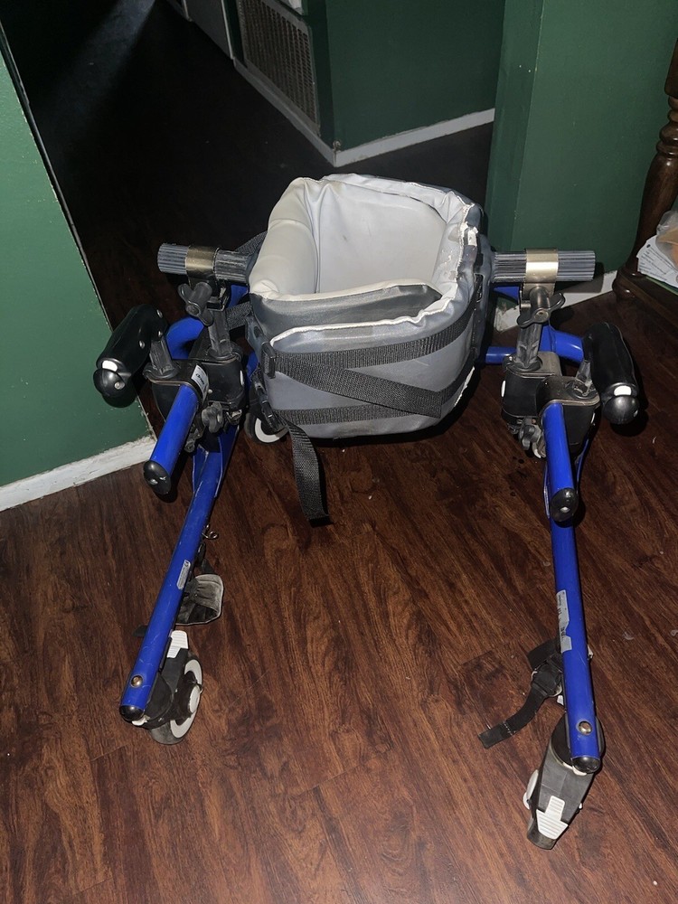 Moxie Gt Gate Trainer