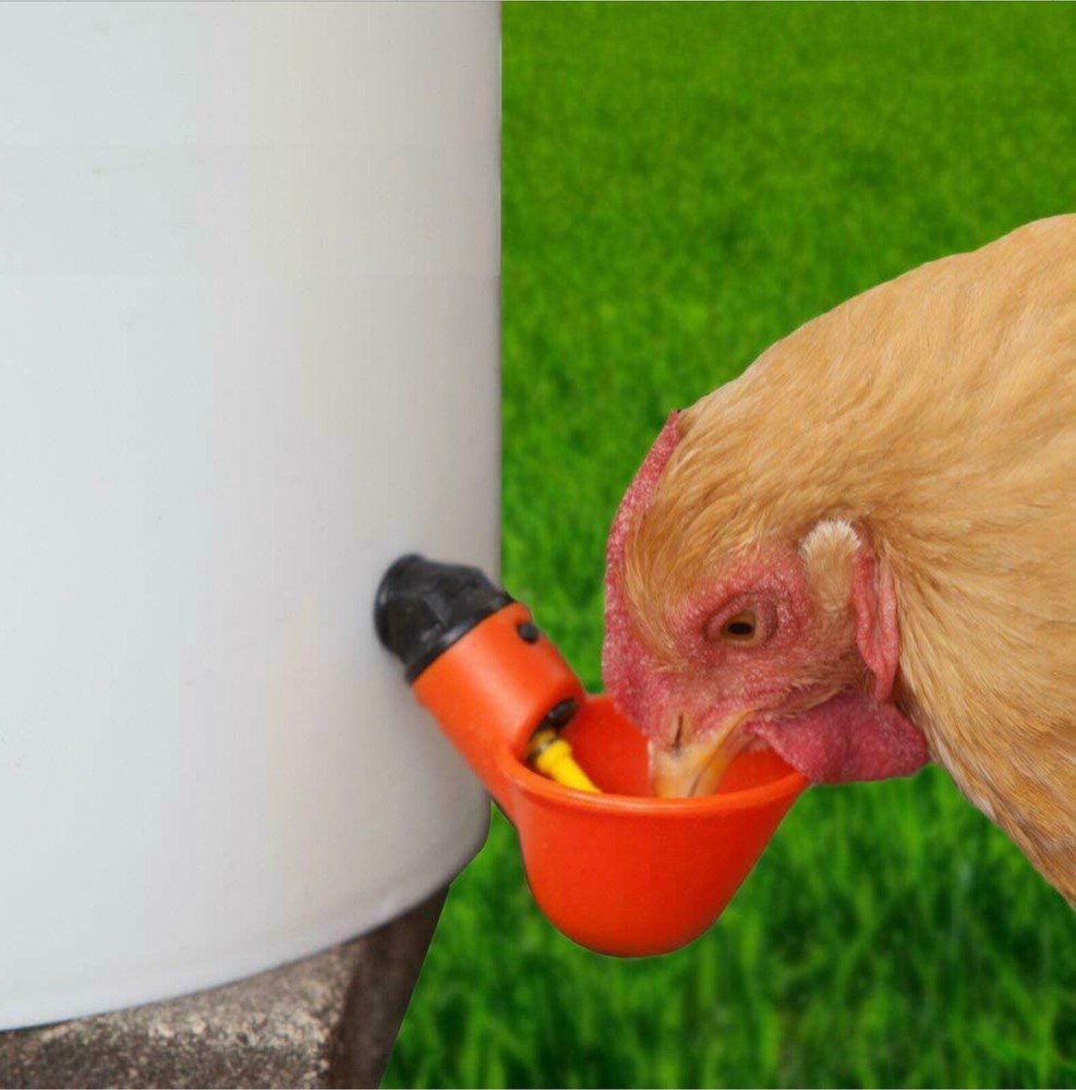 50 Poultry Water Drinking Cups Chicken Hen Plastic Automatic Drinker Feeder