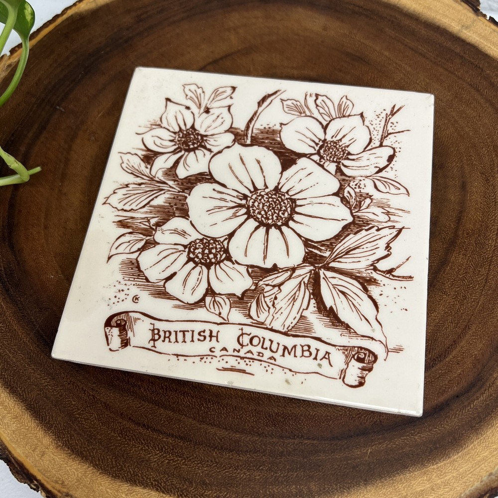 British Columbia Canada Backsplash Decorative Ceramic Wall Art Tile Kitchen