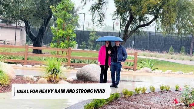 Large Windproof Double Canopy Umbrella - Auto Open/Close, Sturdy Frame, Waterpro
